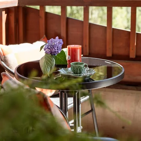 Apartmán Panorama Mountain & Castle View D'fidlerin Salzburg Werfen