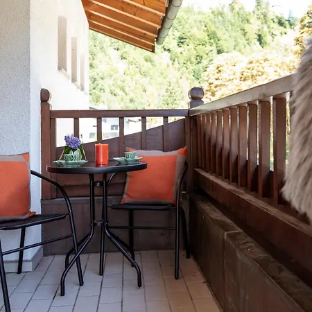 Panorama Mountain & Castle View D'fidlerin Salzburg Werfen