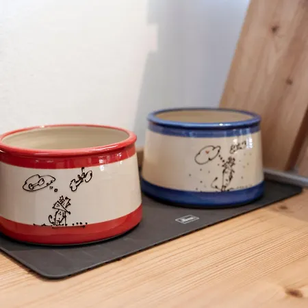 Panorama Mountain & Castle View D'fidlerin Salzburg